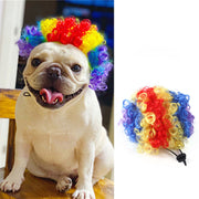 Halloween Christmas Wig Pet Hair Accessories